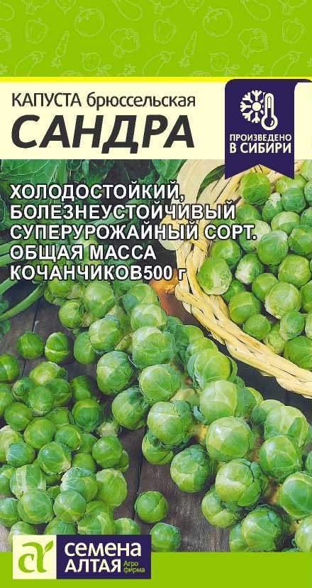 Овощи · Семена · Сад и огород — turboo.ru